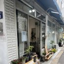 자양골목시장 | [자양동 식물가게] 모리(mori) : 자양시장 골목에서 만난 식물 보물창고 (가격/분갈이 후기)