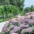 제이제이오토캠핑장 이미지