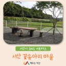 꽃송아리마을 | 서산 꽃송아리 마을 * 생강 6차산업