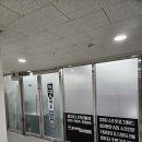 늑대와 여우 이미지