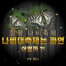 함평여자중학교 | 함평 나비축제 후기, 입장료! 함평나비대축제 비 오는 날