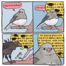 해피라이프 이미지