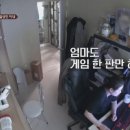 팔랑귀