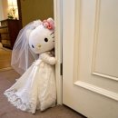 (주)지오애그리비즈 | 💍wedding.03 _ 광주 스드메 플래너 업체 :: (구) '무결추' 현 '웨딩시작' 상담 후기