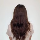 박셈살롱