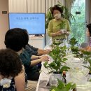 가호동2 이미지