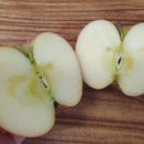 구수골농장 이미지