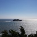구지로 이미지