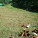 옥계농장 이미지