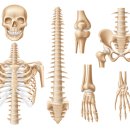 연세공감마취통증의학과의원 이미지