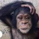 아이제일약국 이미지