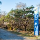 수풀로 삼회리 티스토리