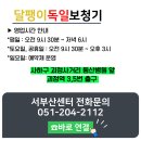 사하구-70 이미지