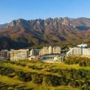 대명 인터내셔널 이미지