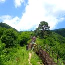 지리산 남원 매막봉 -점등산 / 뱀사골 신선길 와운 천년송 답사 (대구산악회) 이미지