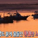 전곡항민박펜션 이미지