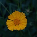 영윤농장 이미지