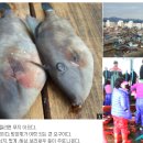 경남 사천, 삼천리 쥐포 - 대한민국 대표 군것질거리 (NAVER 아름다운 한국) 이미지