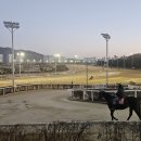 플래시몹댄스 | 댄스팀 순수 렛츠런파크 서울 플래시몹 댄스공연 범 내려온다! 새해마(馬)중