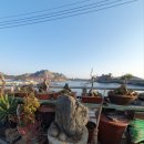 자연세계펜션 이미지