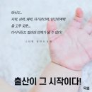 아기탄생조산원 이미지
