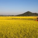 천안시농협쌀조합공동사업법인 이미지