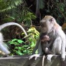 승수농장 이미지