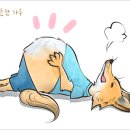 배부른여우 Daum카페