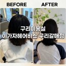 프로헤어비스 | [경기/구리] 구리미용실 이가자헤어비스 구리갈매점 | 매직셋팅 후기