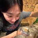 소맥타고 이미지