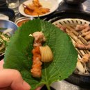 샵돼일리 이미지
