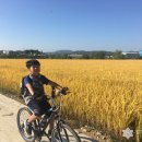 신탄리 자전거 대여소 이미지