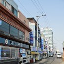 도선장