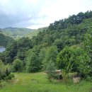 화산면565 이미지