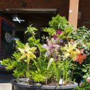 창수상회 이미지