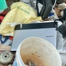 멕시카나 수유점 | 25년 9月 두번째 주간일기 : 가라앉기보다 움직이길 선택한 사람