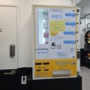 펭귄크리닝 이미지