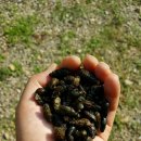 다원산장 이미지