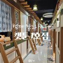 안양만화도서총판 | 범계만화카페 캣툰 솔직후기｜아이와 데이트 만족도 높음 (고양이 방·4인룸)