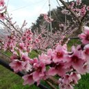 모랭농장 이미지