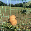 어느멋진날에 2 이미지