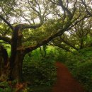 비자림민박 이미지