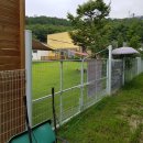 가자 펫 택시 이미지