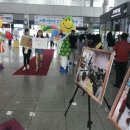 초록 태양광발전소 이미지