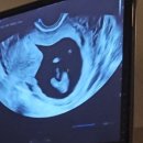 서초하나산부인과의원 이미지