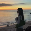 다올펜션 | ✱제주 우도 오션뷰 숙소, 다올펜션✱ 픽업방법, 바다수영 내돈내산 후기