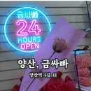 양산역꽃집 양산무인꽃집 &#34;금싸빠 양산중부점&#34; 꽃구매 후기
