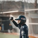이글스 이미지
