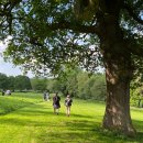 오공농장 이미지