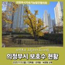 11호어린이공원 | &#39;의정부 보호수&#39; 모니터링 활동 후기